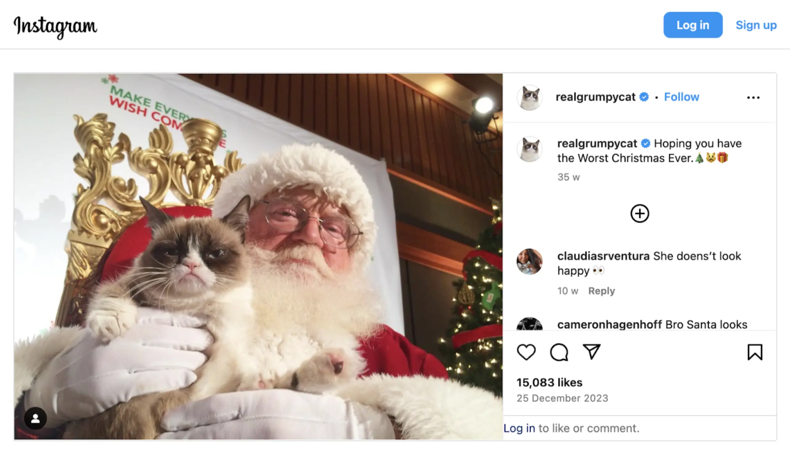 pet affiliate program social media instagram grumpycat dark humor